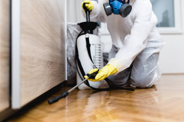 Best Termite Control Services  in Harvey, ND