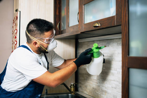 Best Exterminator Services  in Harvey, ND