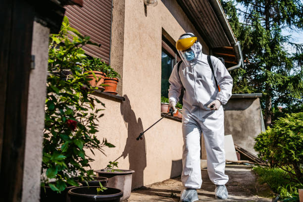 Best Wildlife Control Services  in Harvey, ND