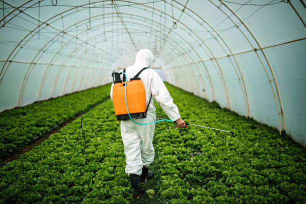 Best Pest Removal Services  in Harvey, ND