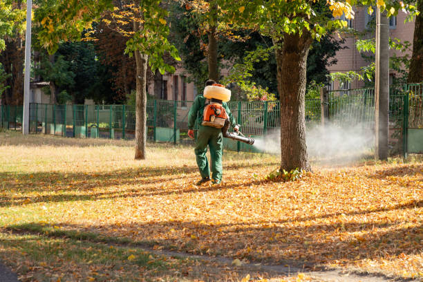Best Pest Control Near Me in Harvey, ND