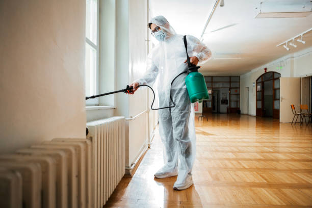 Best Pest Prevention Services  in Harvey, ND