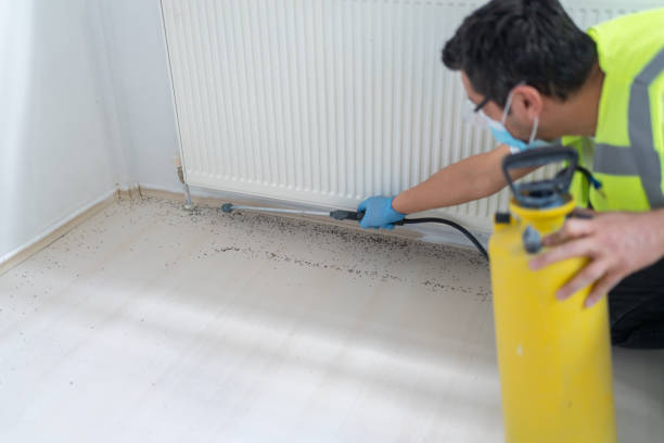 Best Emergency Pest Control  in Harvey, ND